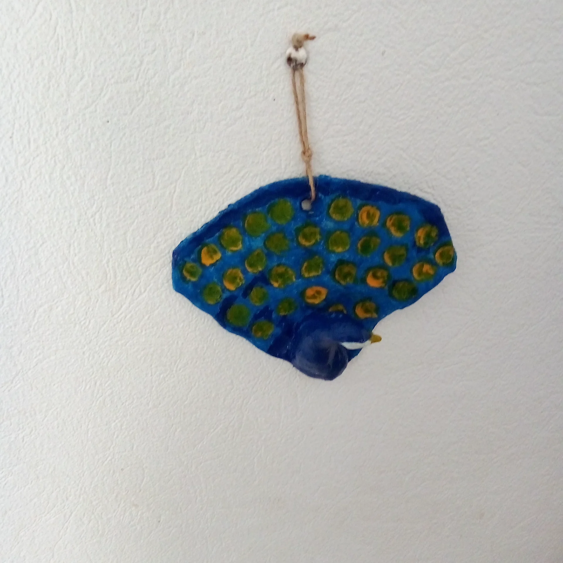 Paon coloré